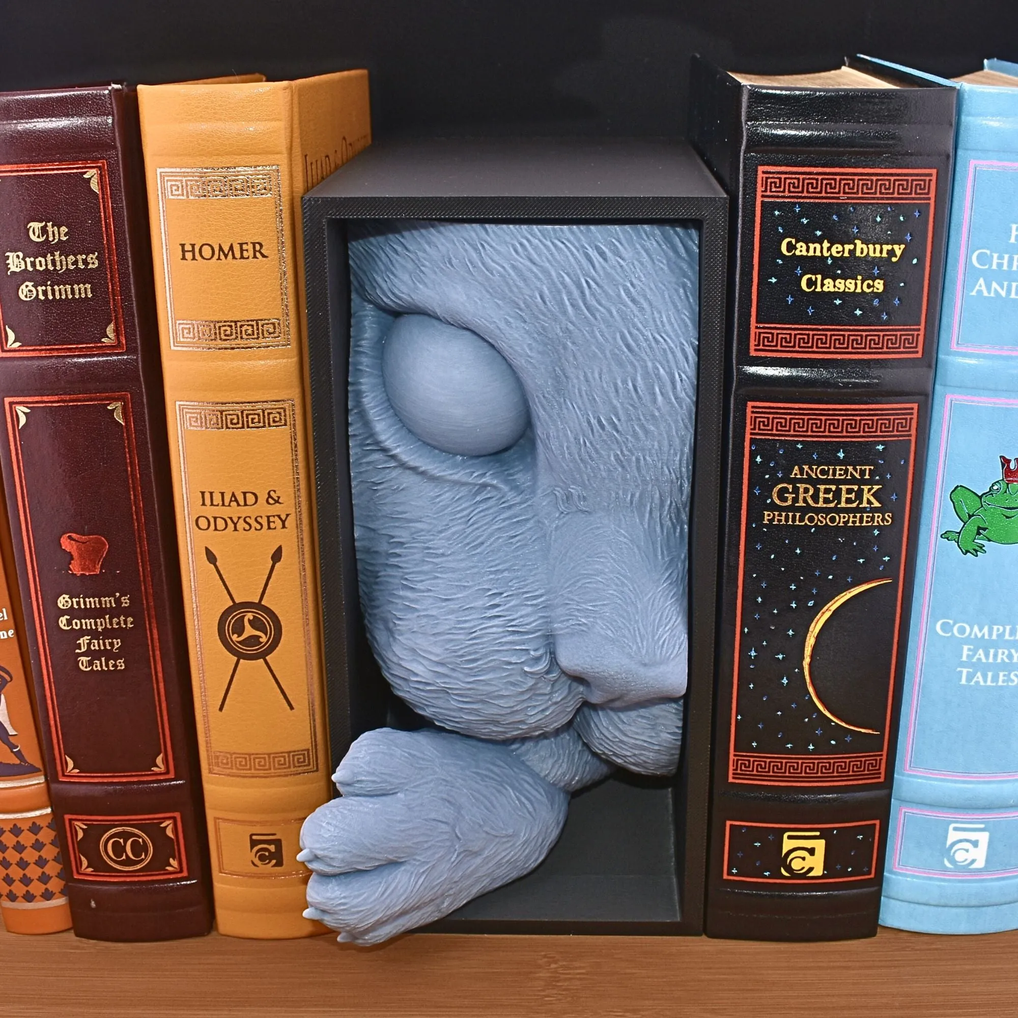 Cat Book Nook