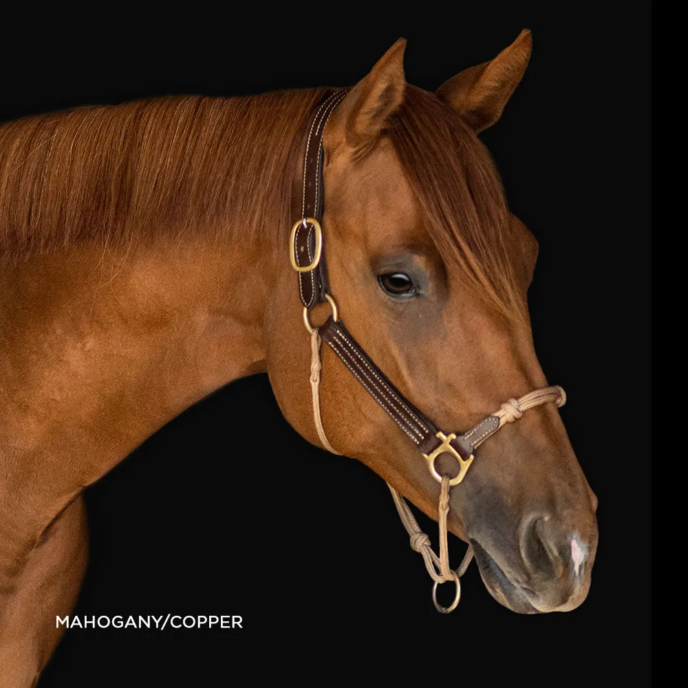 Classic Leather Hybrid Halter®