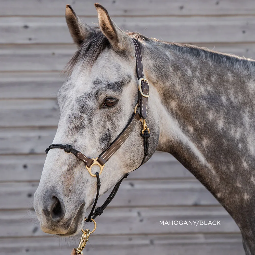 Classic Leather Hybrid Halter®