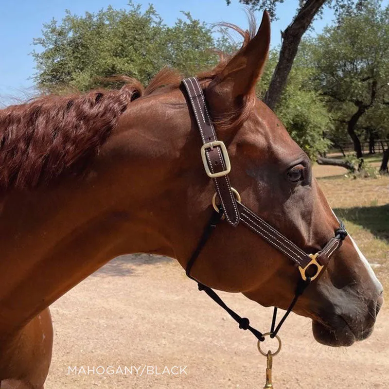 Classic Leather Hybrid Halter®