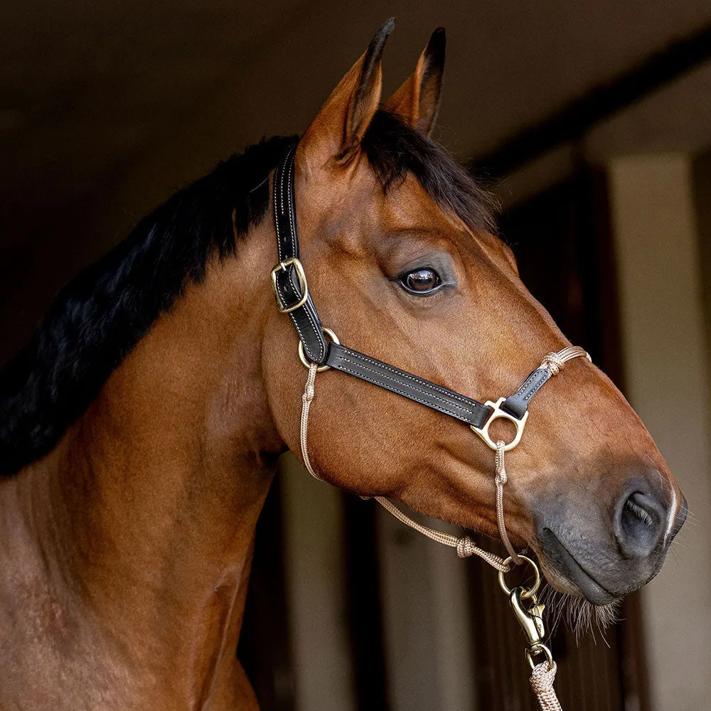 Classic Leather Hybrid Halter®