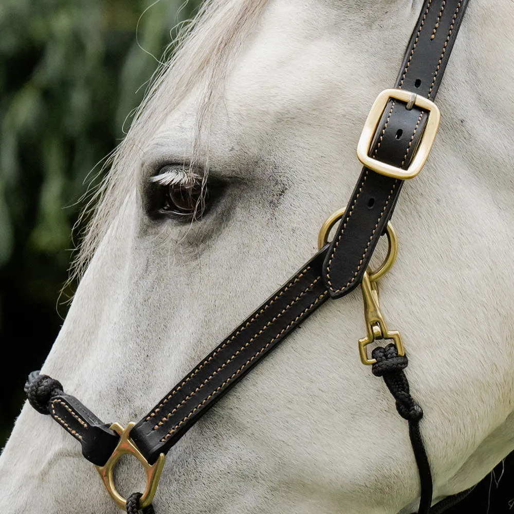 Classic Leather Hybrid Halter®