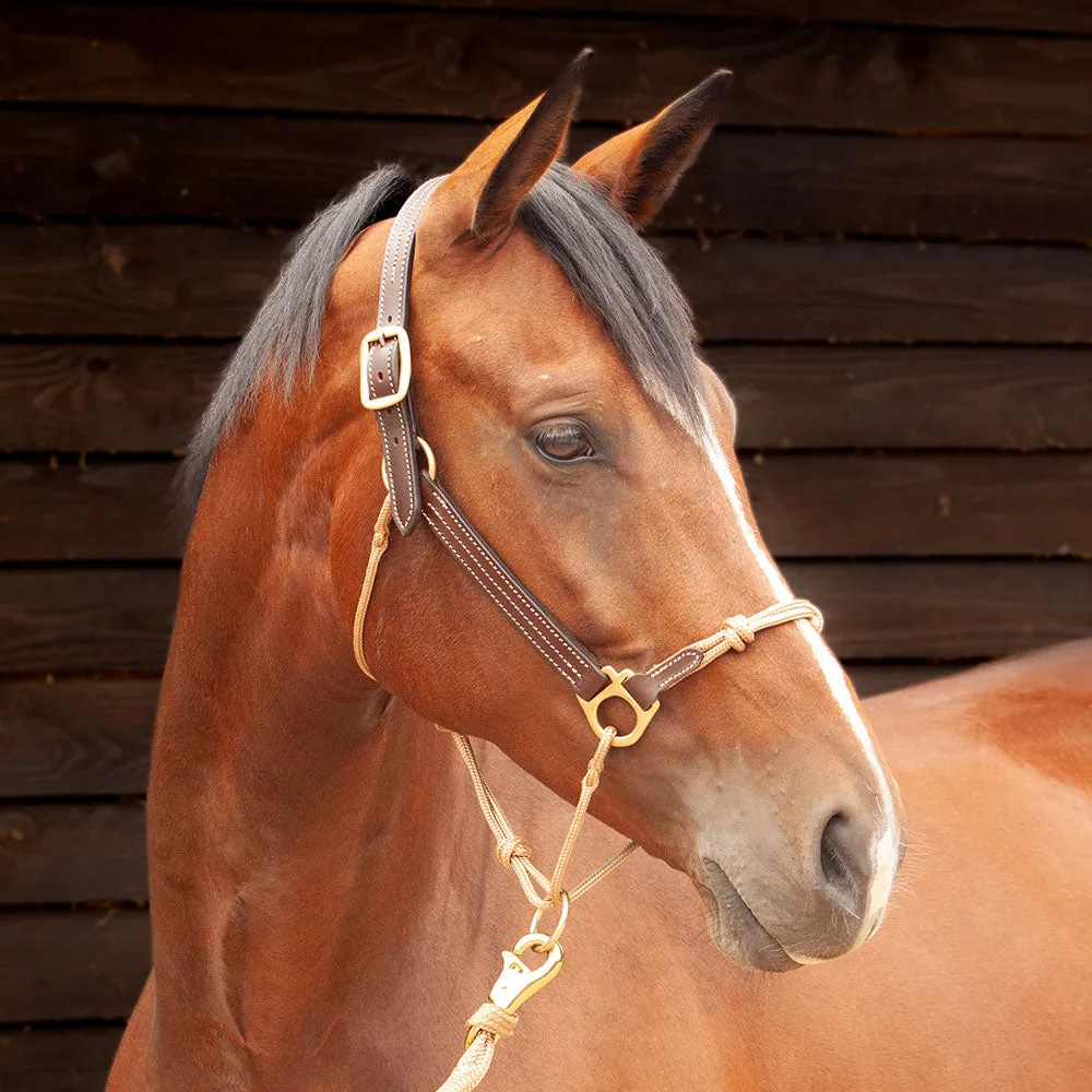 Classic Leather Hybrid Halter®