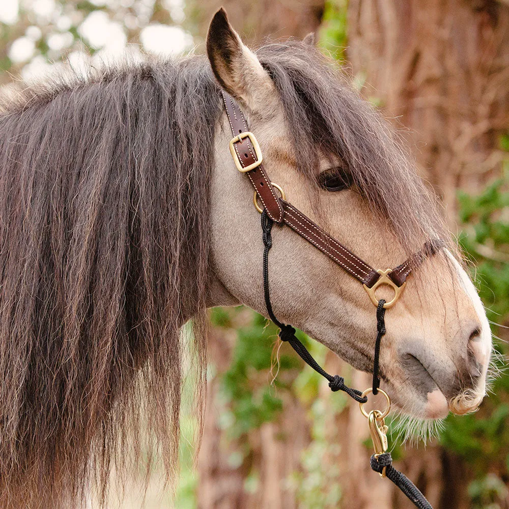 Classic Leather Hybrid Halter®