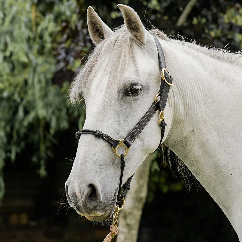 Classic Leather Hybrid Halter®