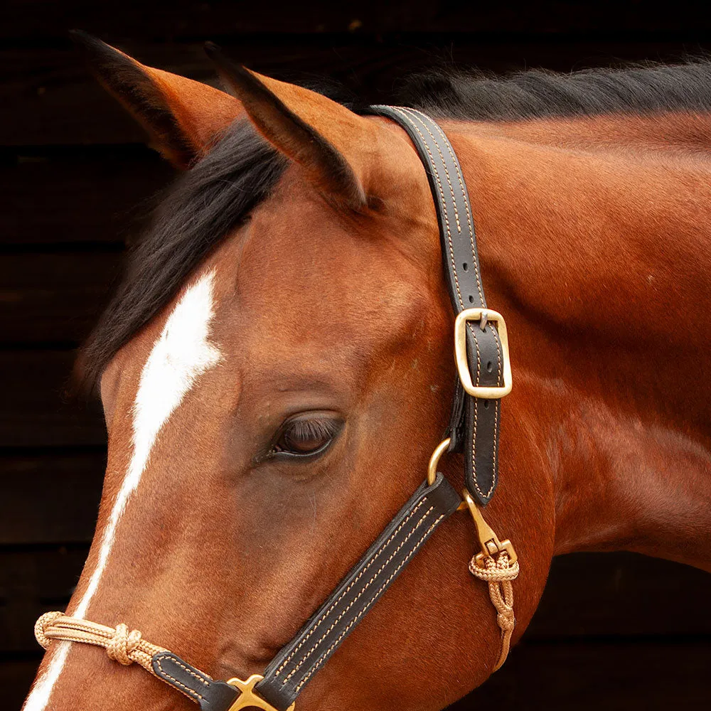 Classic Leather Hybrid Halter®