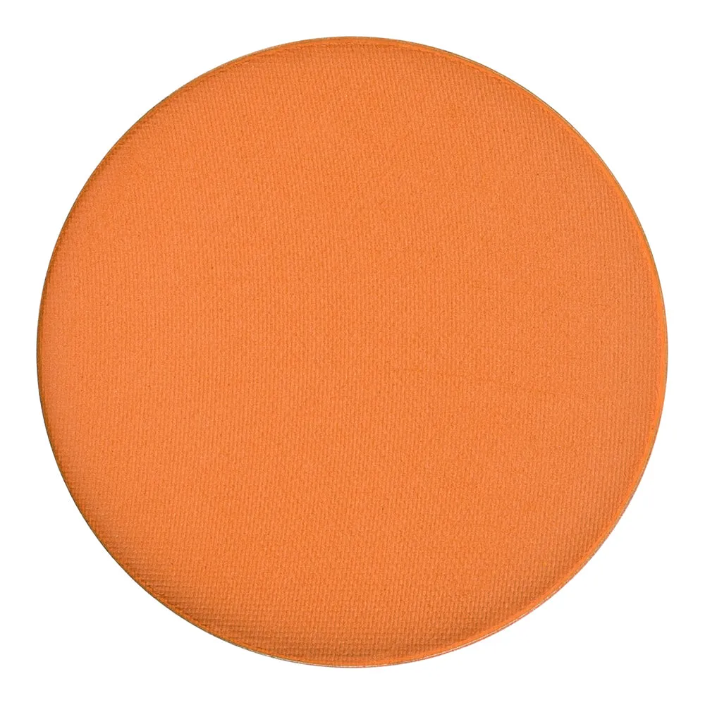 Pure Pigment Palette Refills